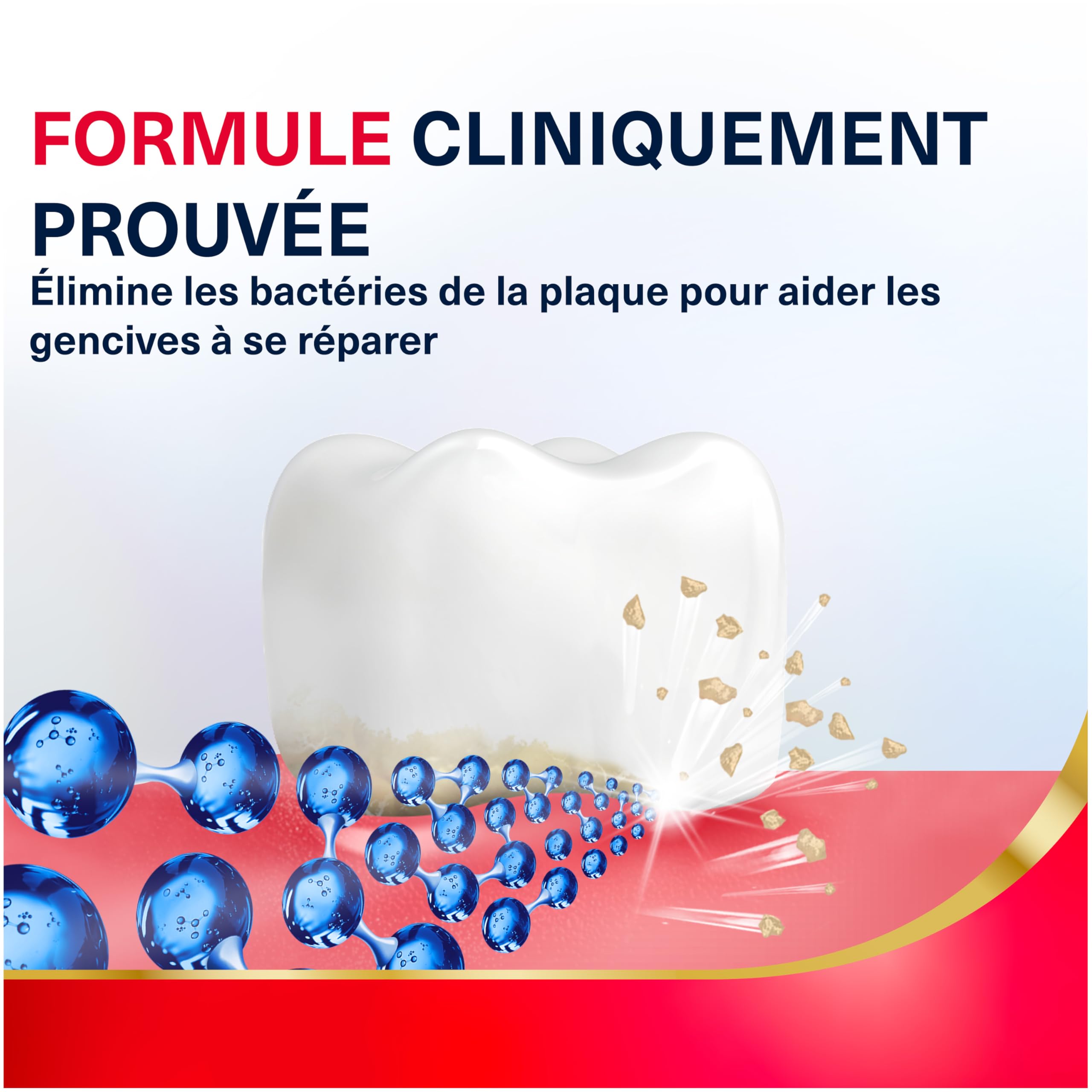 PARODONTAX Dentifrice Gencives + Réparation Active, Répare les Gencives qui Saignent, Gonflées, Inflammées, Cliniquement Prouvé Dès 1 Semaine d'Utilisation, Menthe Fraîche- Lot de 2 x75ml