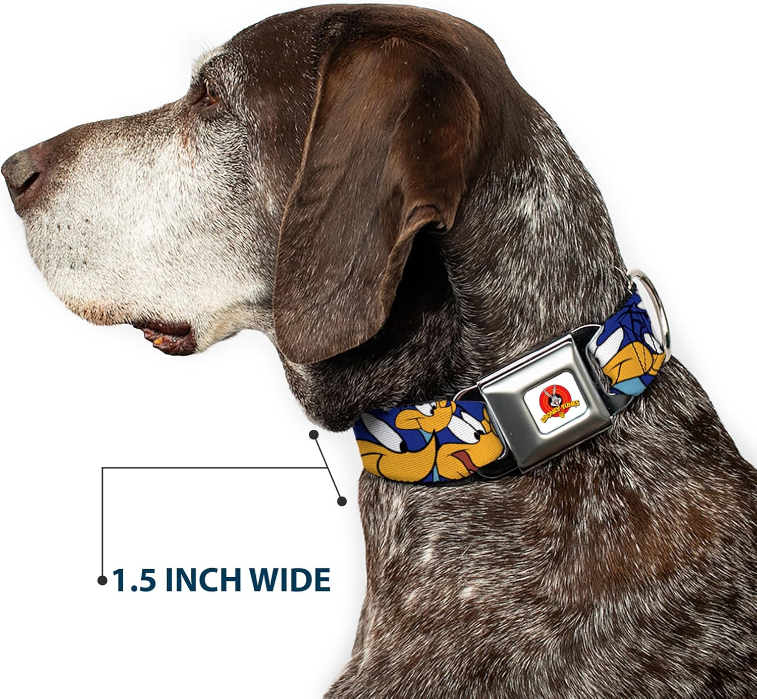 Buckle-Down Seatbelt Buckle Dog Collar - Road Runner Expressions Stacked - 1.5" Wide - Fits 18-32" Neck - Large