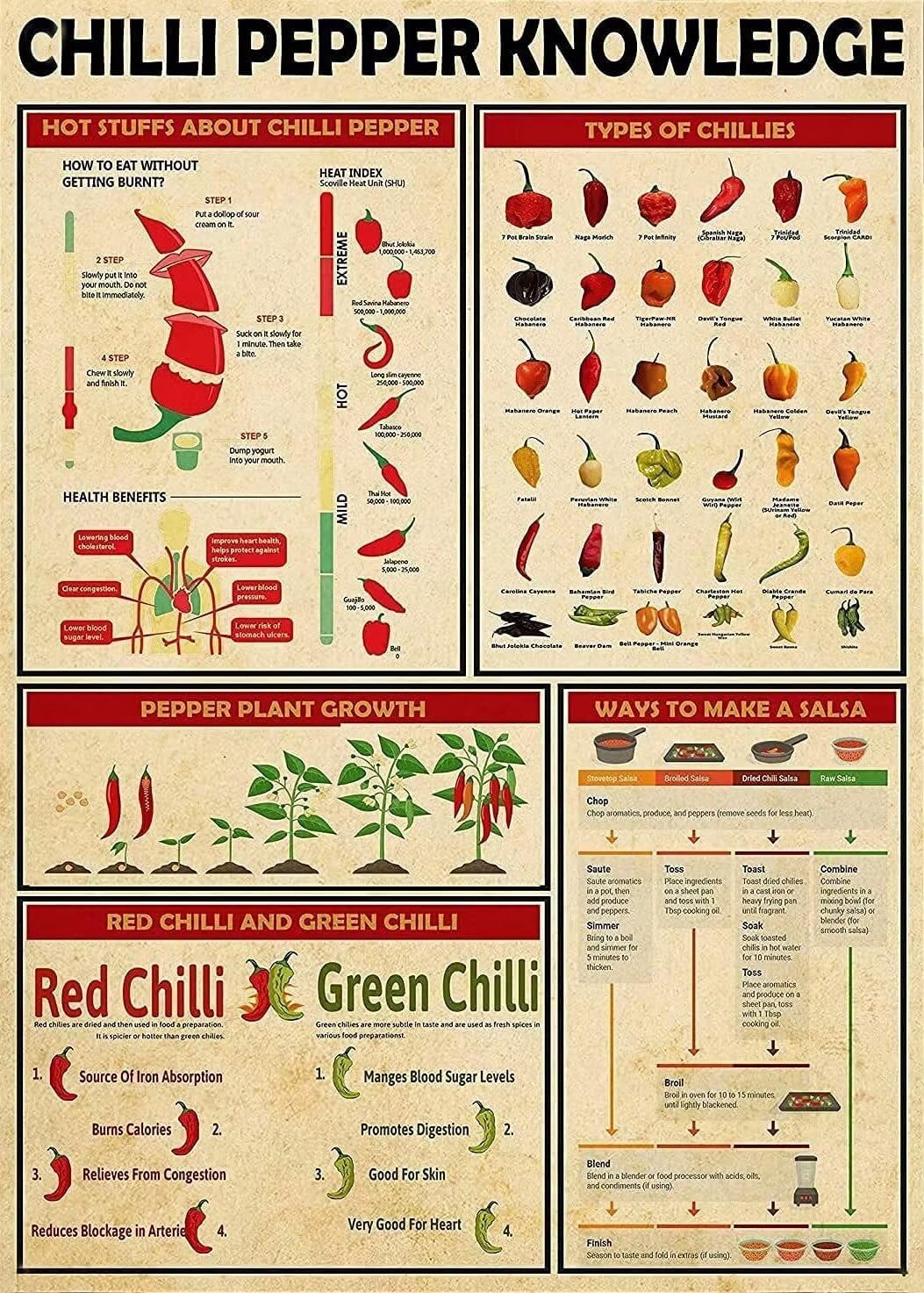 Pzecaru Chilli Pepper Knowledge Canvas Wall Art Chilli Pepper Print Painting Modern Canvas Wall Art For Living Room Farmhouse Wall Decor Vintage Poster Unframed 20x30 Inch
