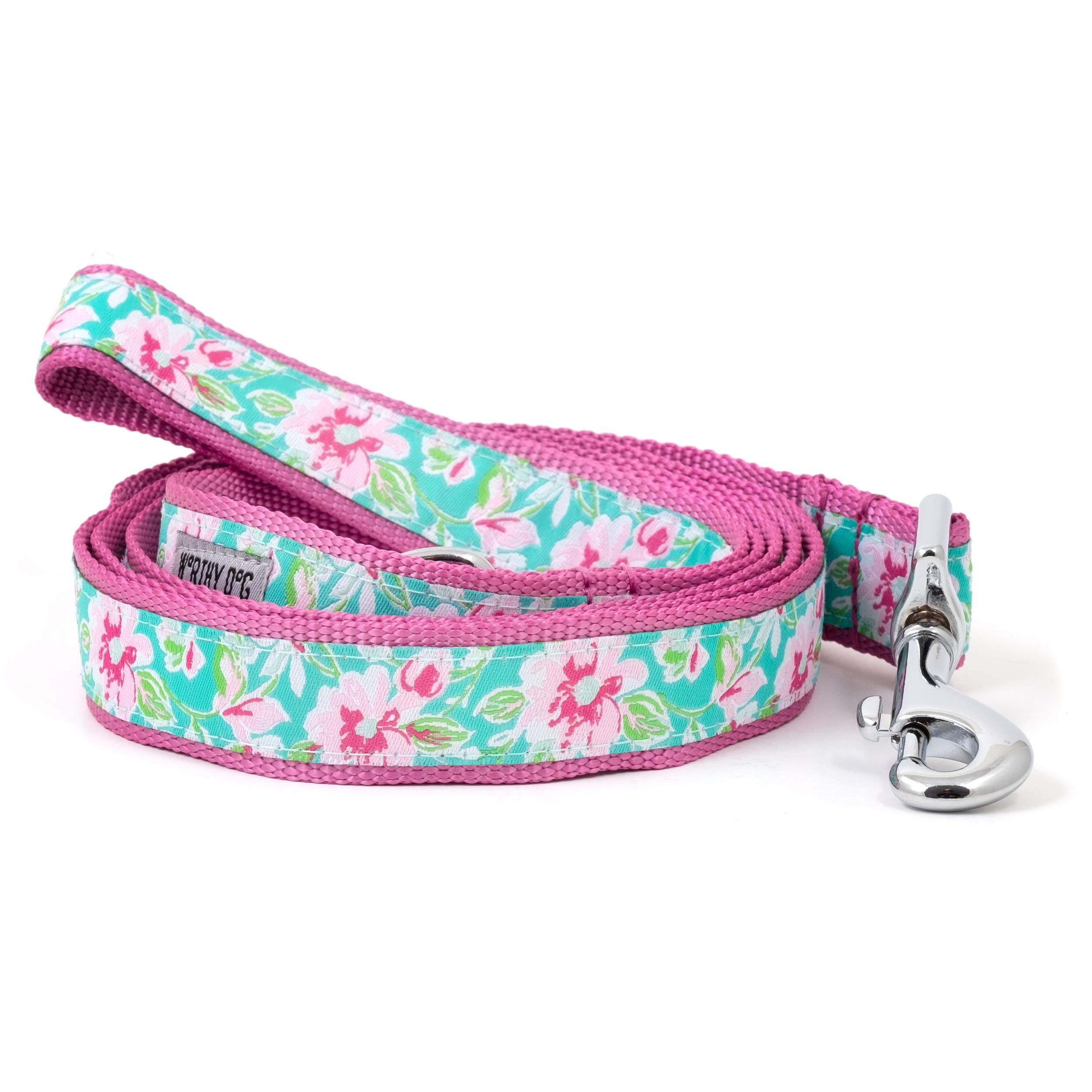 THE WORTHY DOG 5 FT Nylon Dog Leash for Medium to Large Dogs, Metal Quick Clip, Watercolor Floral Pattern, Teal, Large
