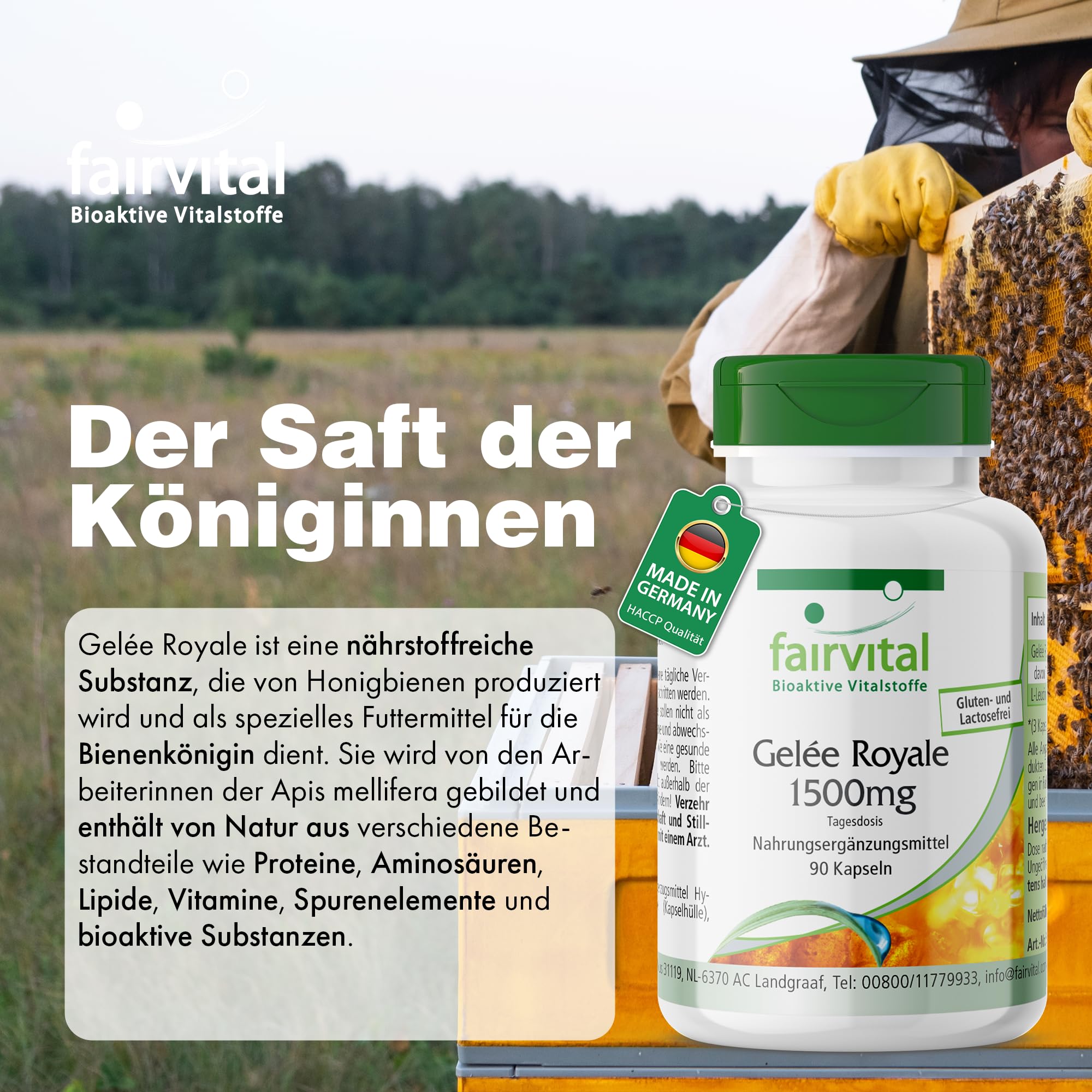 fairvital Gelée Royale 1500mg, 90 Kapseln, schluckfreundlich, HOCHDOSIERT, standardisiert auf 4% 10-HDA