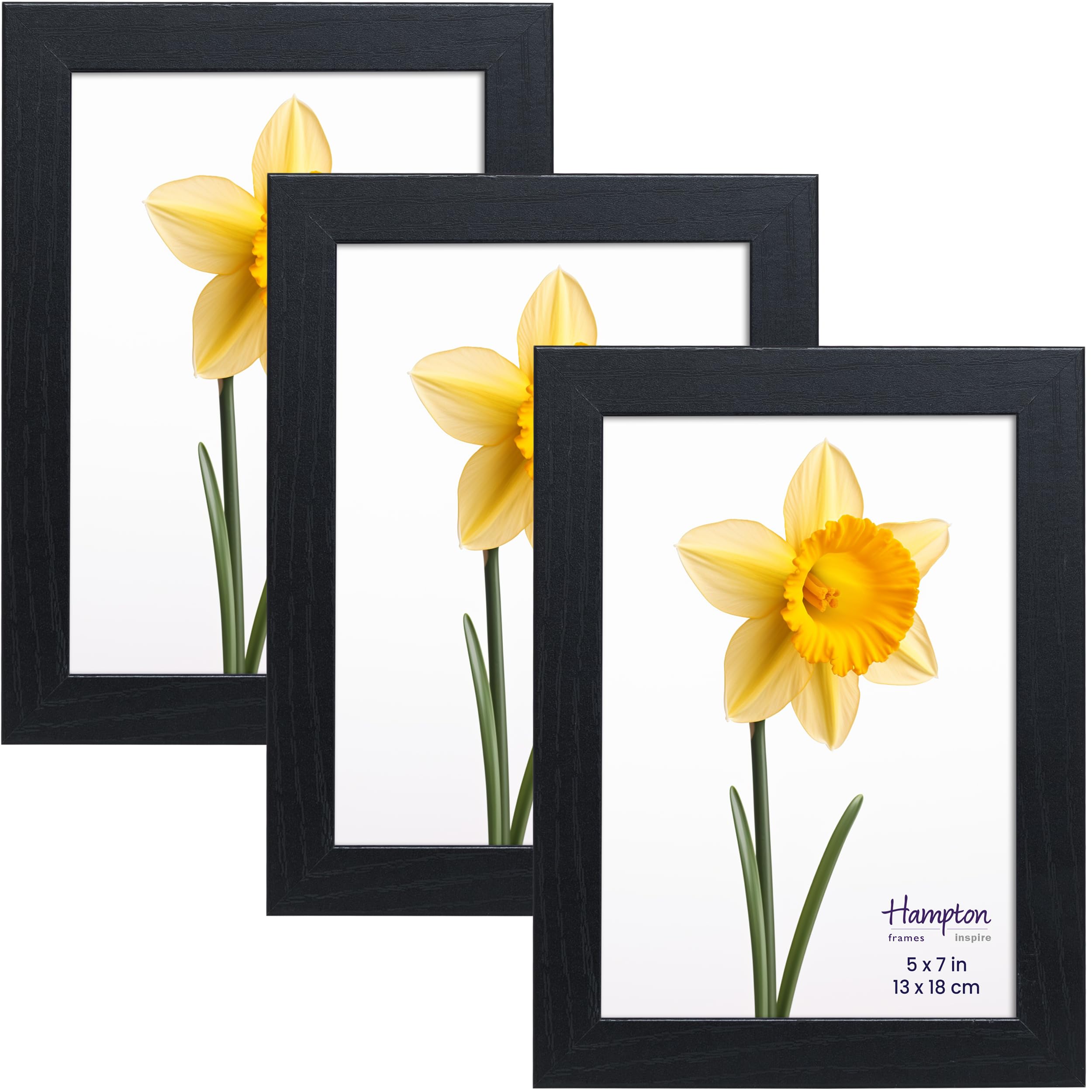 inspire by Hampton Frames, Black, 5x7 (13x18cm)