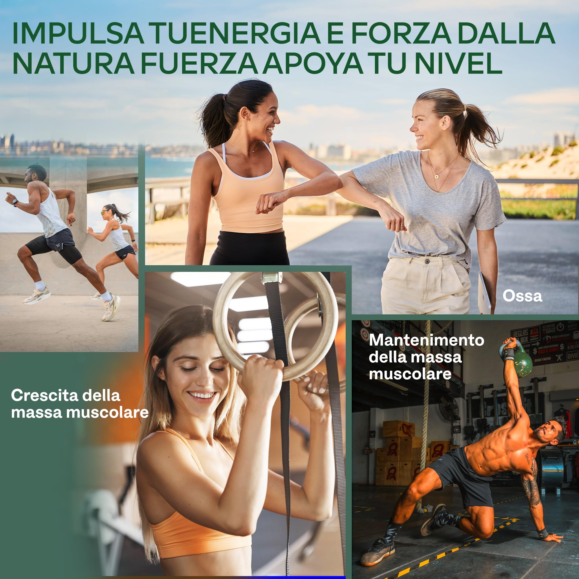 Proteine in Polvere Vegane Neutre 750g DIGEZYME® | 19g Proteine Vegetali da Riso, Pisello (Pea), Fava, Girasole, senza Lattosio, Zucchero, Edulcoranti, Glutine - 9 EEA e BCAA - Vegan Protein Powder