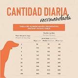 Ver la foto 7