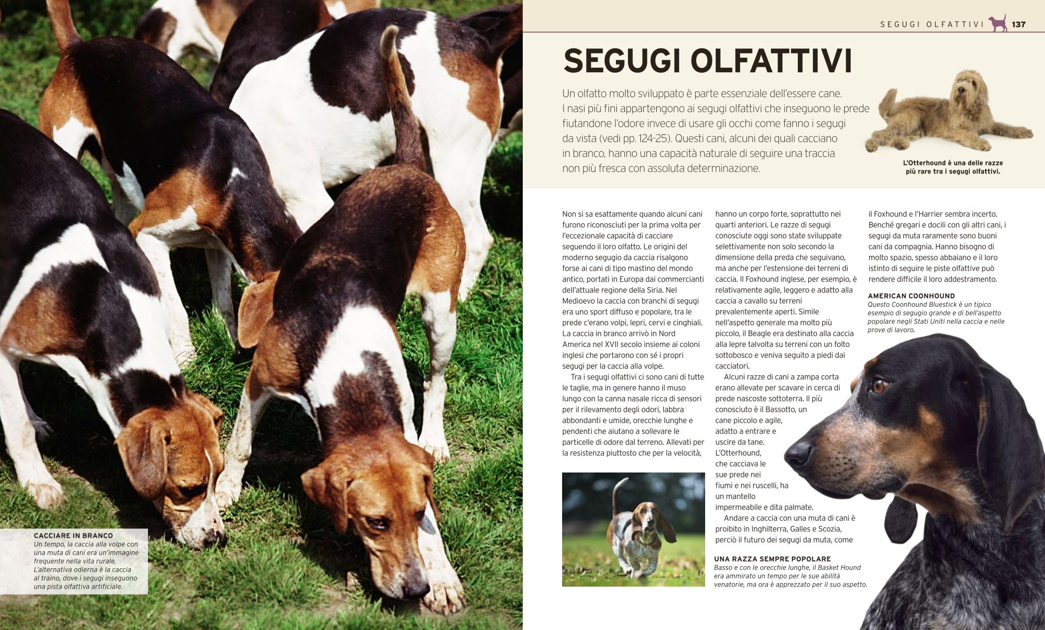 Il grande libro del cane. Tutte le razze: caratteristiche, attitudini, comportamenti e curiosità. Ediz. illustrata