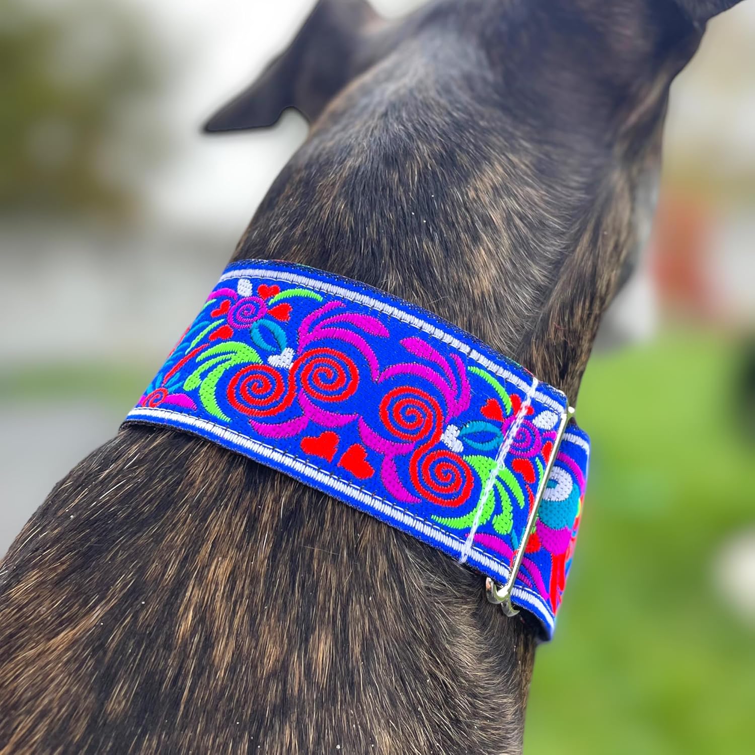Martingale Dog Collar for Greyhound Saluki Whippet and Other Breeds with Similar Neck 2" Wide (Blue L 14"-18")