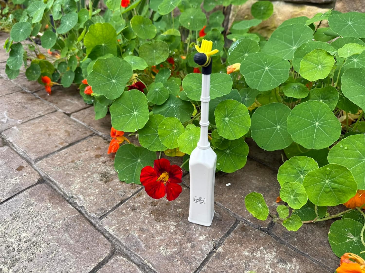 Hand Pollinator + Seeding Square Bundle – Garden Pollination Tool with Seed Spacing Template for Better Plant Growth & Vegetable Production