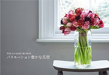 世界の華麗なチューリップ銘鑑 TULIPS | ジェーン・イースト