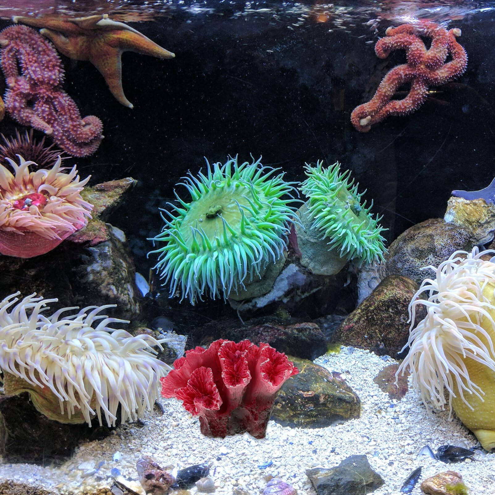 Gatuida Künstliche Korallen für Aquarium: Künstliche Korallenpflanze Aquarium Pflanzen Künstlich Dekorationen Koralle Deko Zubehör für Betta, Landschaft