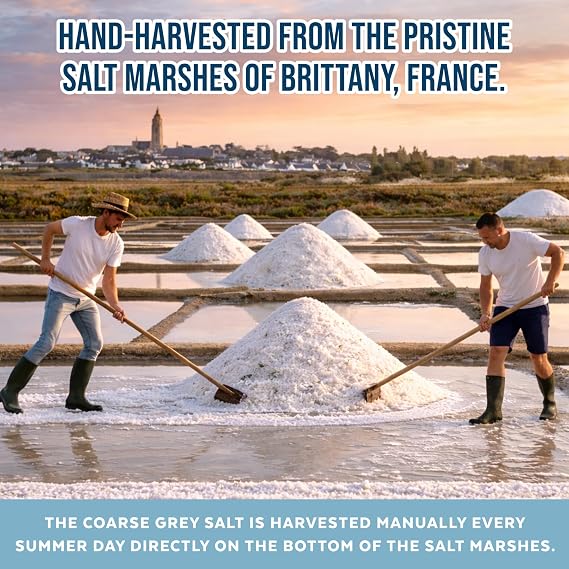 Numami Celtic Coast Gray Salt with Nordic Kelp. Natural Iodine Source (50% Daily Value), Mineral-Rich Unrefined Salt in Plastic-Free Packaging, Hand harvested in Brittany, France