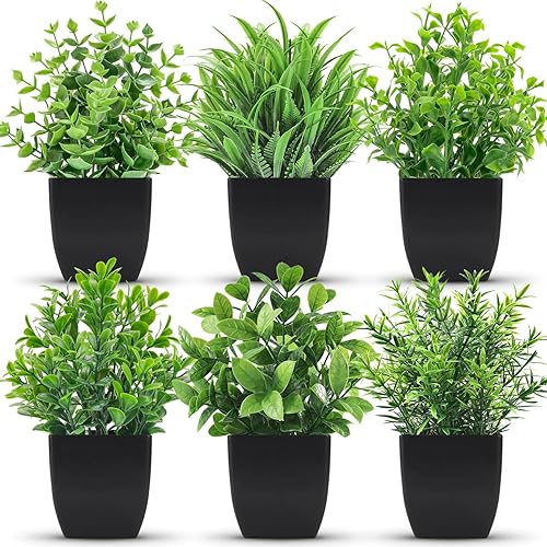 Der Rose 6 Packs Small Fake Plants Artificial Potted Faux Plants in Pot for Home Office Farmhouse Bathroom Shelf Decor Indoor