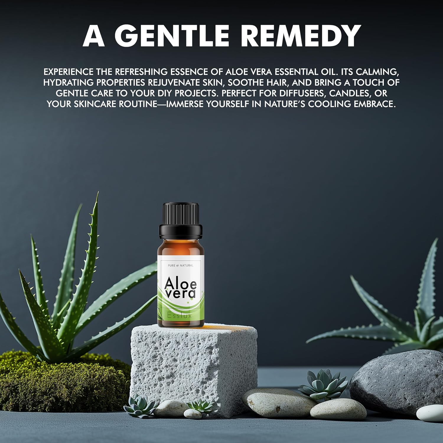 Esslux Aloe Vera Essential Oil - 100% Pure Natural Aloe Oil for Skin, Hair & Diffuser | Soothing & Hydrating Formula for Nourishment & Wellness - Ideal for DIY, Soap & Candle Making - 10 ML Esslux Aloe Vera Essential Oil - 100% Pure Natural Aloe Oil for Skin, Hair & Diffuser | Soothing & Hydrating Formula for Nourishment & Wellness - Ideal for DIY, Soap & Candle Making - 10 ML