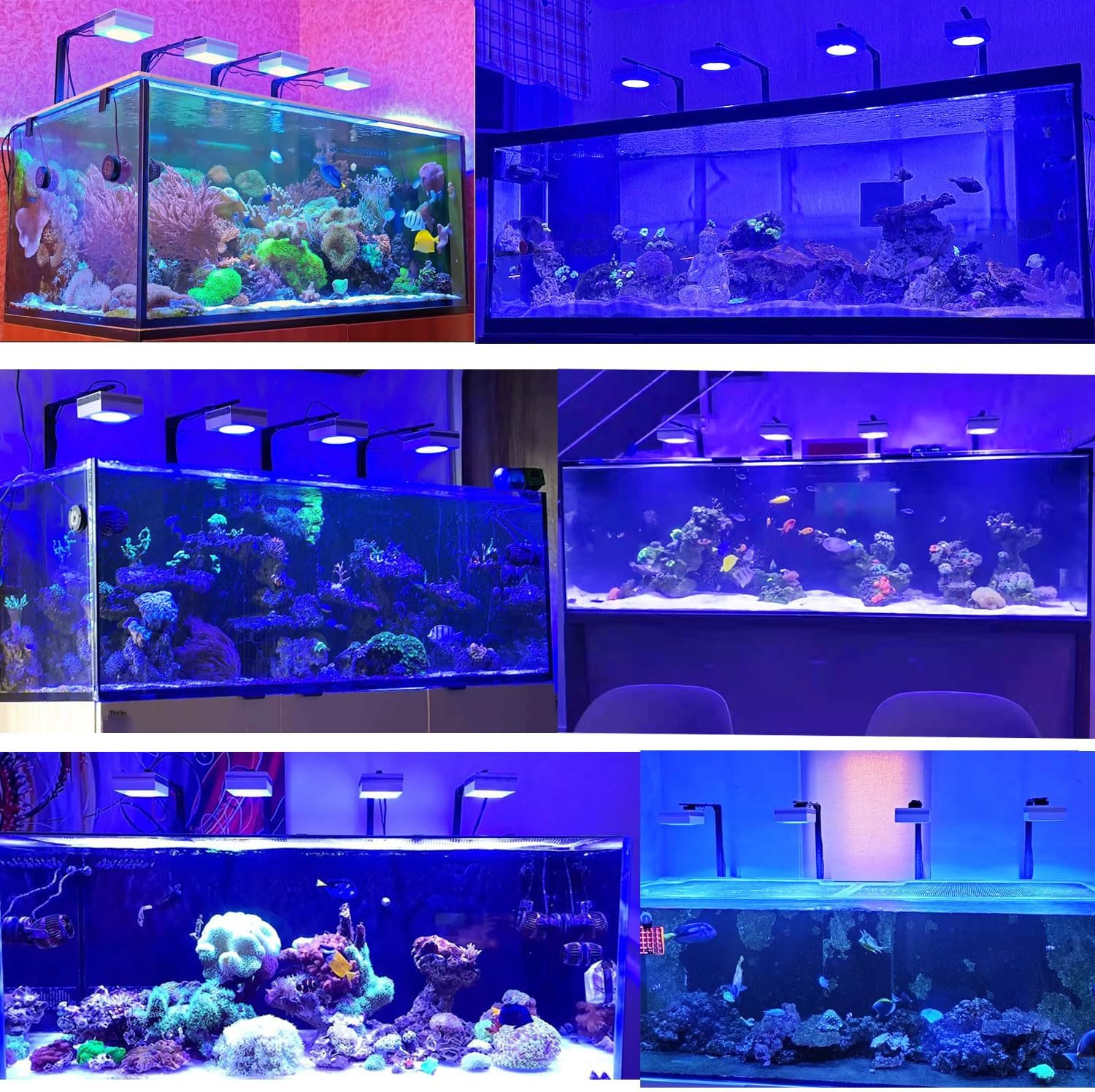 PopBloom RL90 WiFi LED Aquarium Light Full Spectrum Aquarium Reef Led Light, for 72inch 180cm 6ft SPS LPS Marine Reef Coral Tank, App Control (4 RL90FS with arm kit)