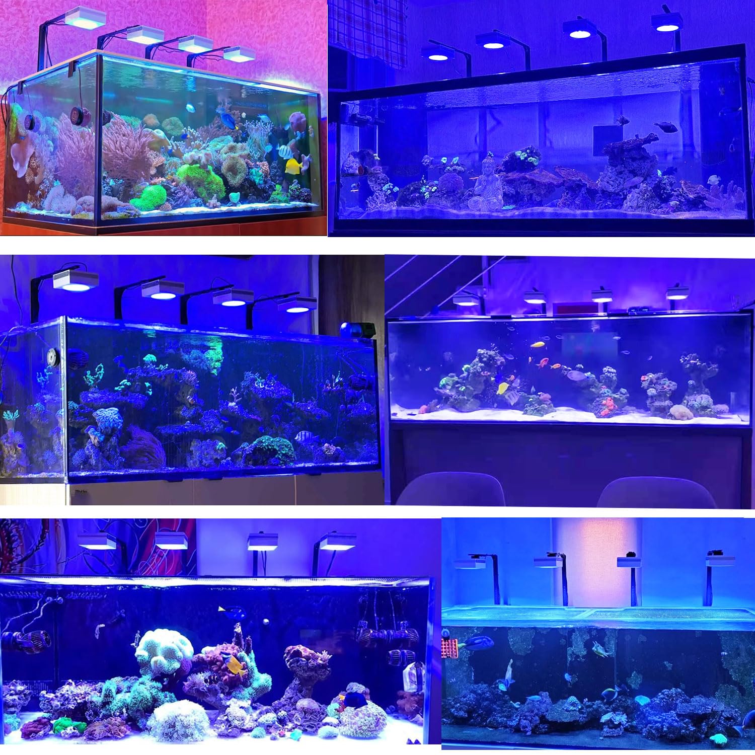 PopBloom 4 pezzi RL90 LED per acquari marini Lampade per barriera corallina Lampade LED a spettro completo per acquario da 180-220 cm Acquari con coralli di barriera