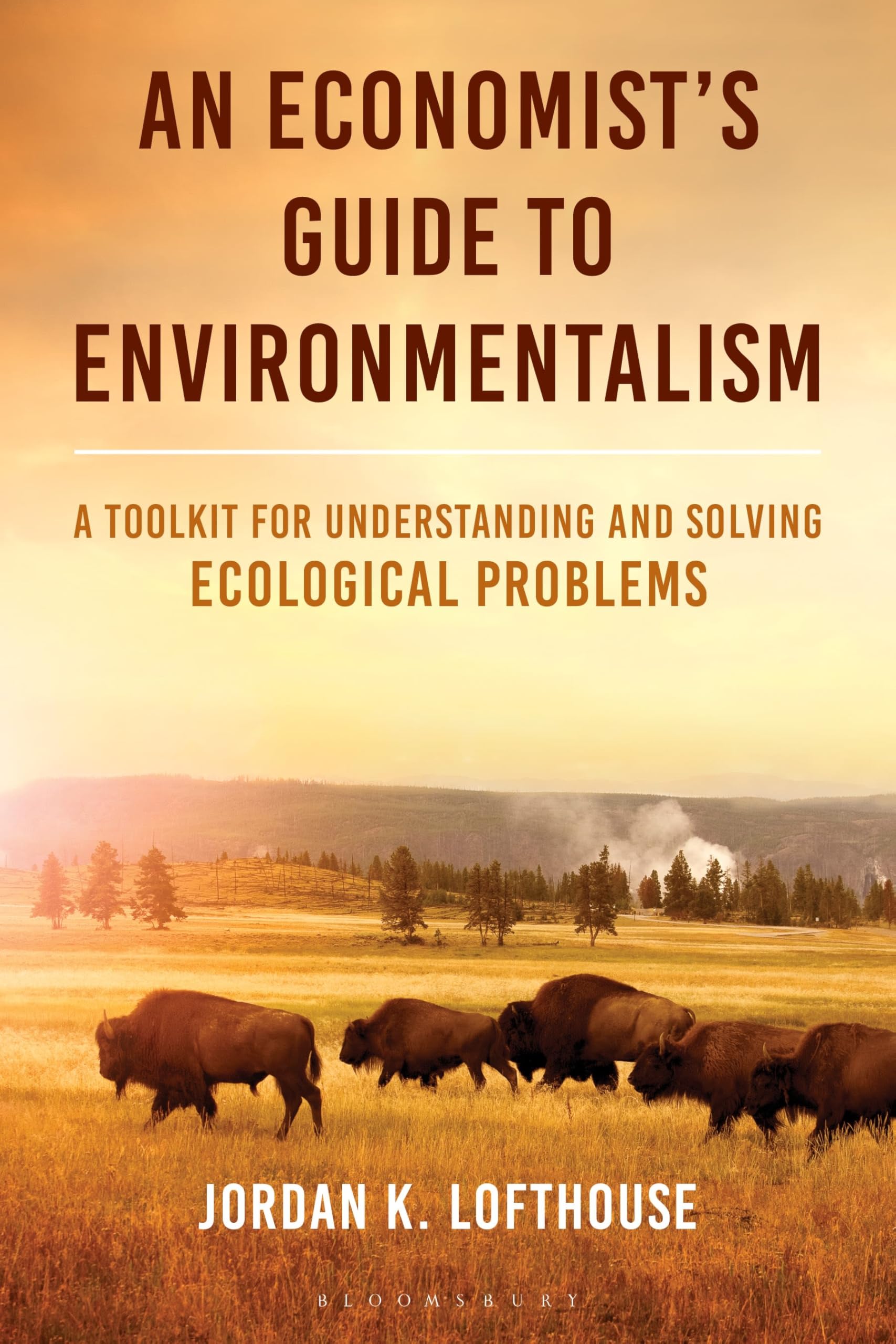 An Economist's Guide to Environmentalism: A Toolkit for Understanding and Solving Ecological Problems