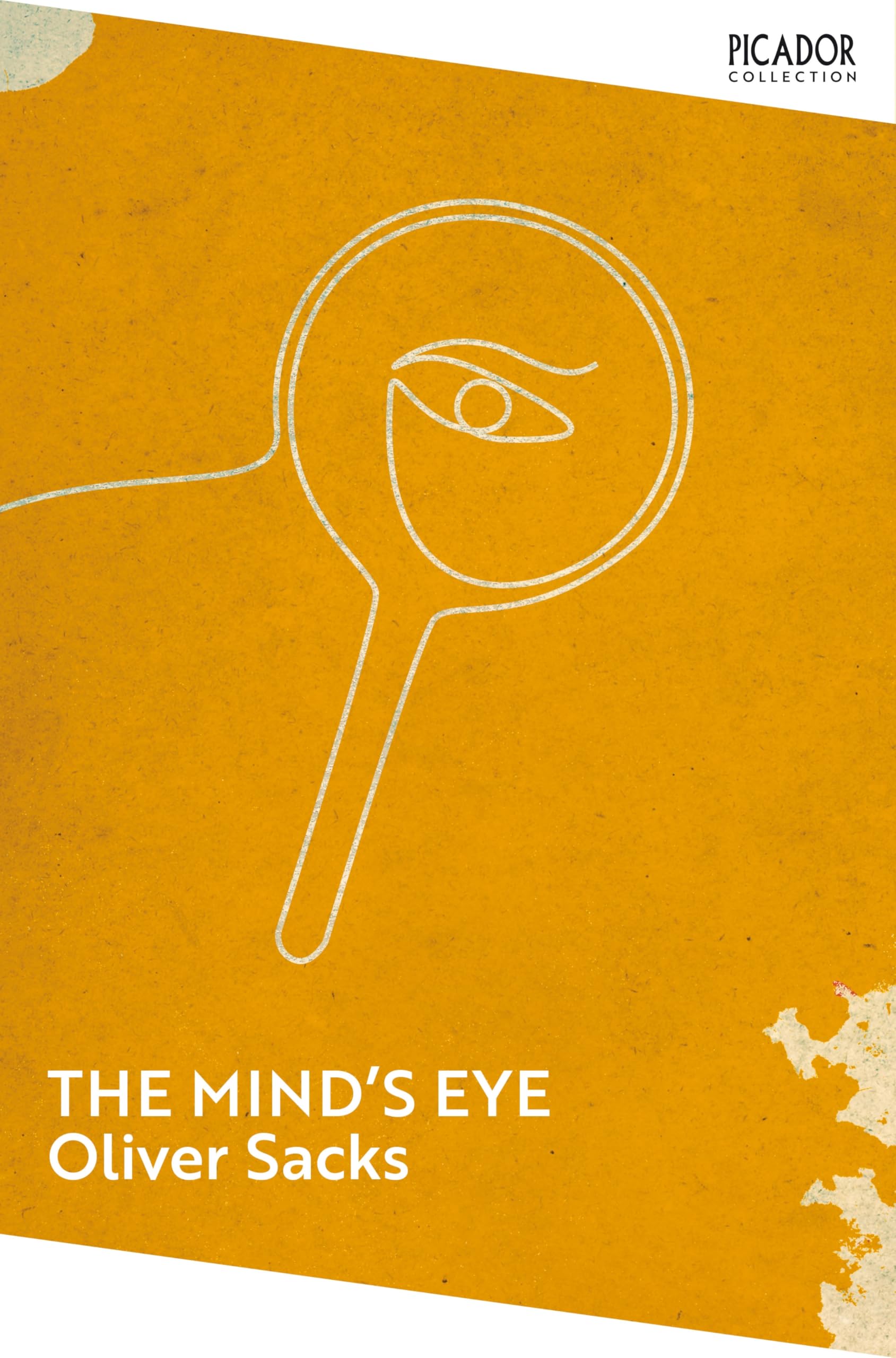 The Mind's Eye (Picador Collection)