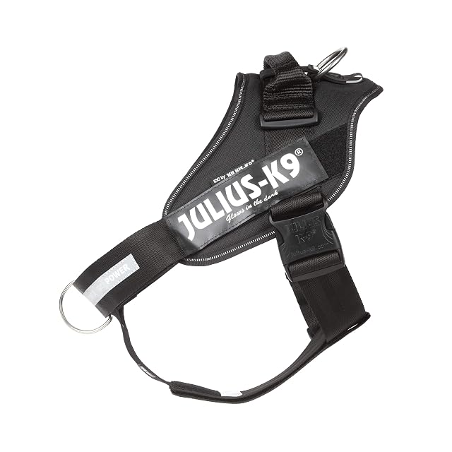 Julius-K9, Arnés de Perro IDC Powerharness con Control Frontal en Y, tamaño: 2, Negro