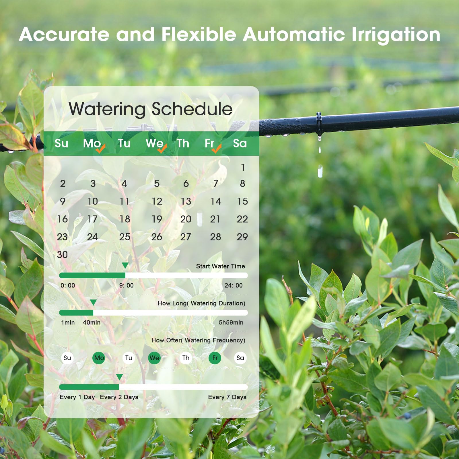 Timer intelligente per tubo flessibile con 2 uscite, controller automatico del sistema di irrigazione per prati, compatibile con ingresso Alexa grigio scuro in ottone e uscita in plastica (2 uscite)