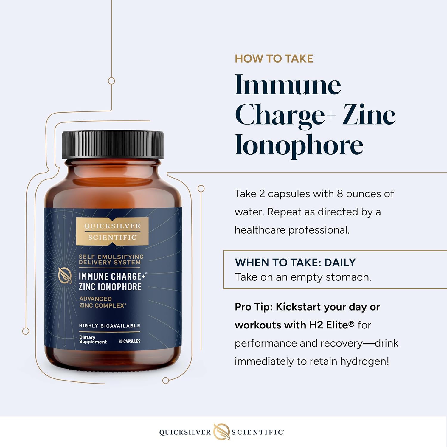 Quicksilver Scientific Immune Charge+ Zinc Ionophore - Zinc Supplement Complexed with Quercetin, Luteolin, Hesperetin Immune + GI Support (60 Capsules)