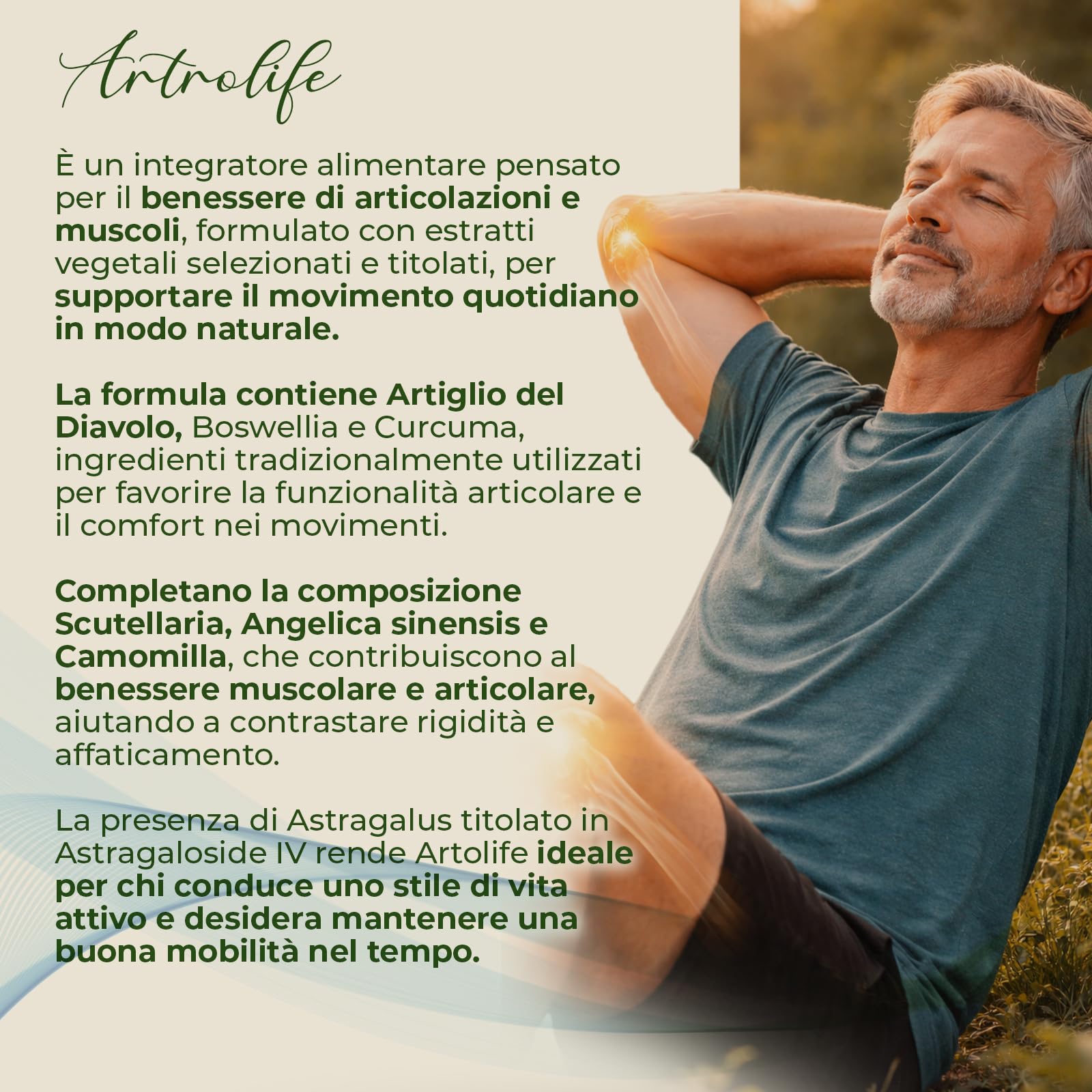 AP PLUS ARTROLIFE Integratore Alimentare per il Benessere Articolare, Supporto alla Mobilità e Stress Ossidativo con Estratti di Astragalus, Boswellia, Curcuma e Artiglio del Diavolo | 90 Compresse