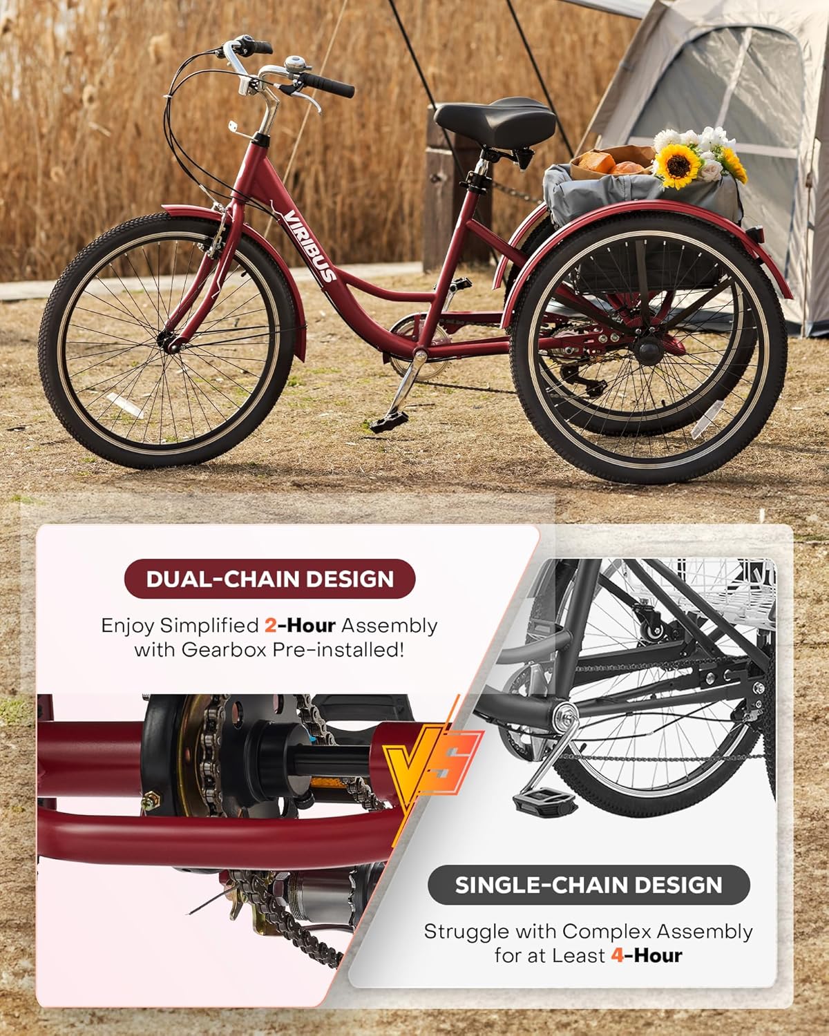 Viribus Adult Tricycle - Image 4