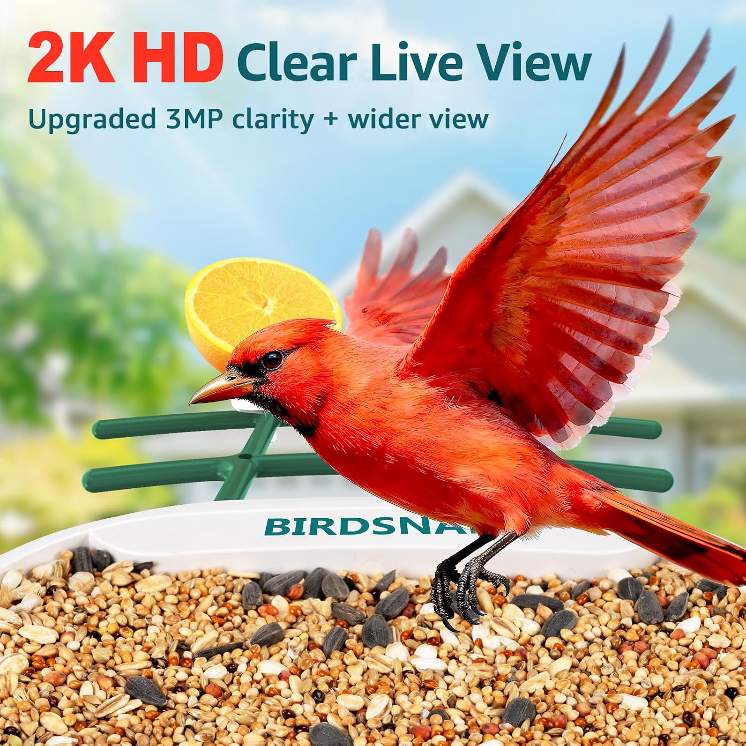 birdsnap® TUC Bird Feeder with Camera 2K HD Live with 32GB Card Auto Detect & Notify AI Identify Camera Birds Feeders Solar Powered Wireless Outdoors Backyard Gift for Mom Dad Birds Lover, 2.4G WiFi