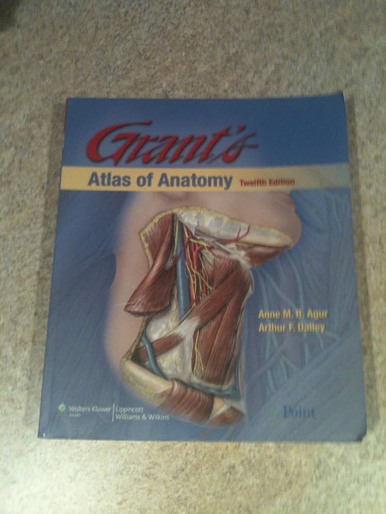 健康・医学 Grant's ATLAS OF ANATOMY 71pwBXmMgsL._UF894,1000_QL80_.jpg