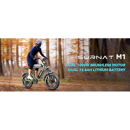 Electric Bike for Adults - Dual Motor AWD 2000W 32MPH Ebike with 48v/22.5Ah Removable Battery, 26x4.0 Fat Tire Mountain Electric Bicycle, Hydraulic Disc Brake E-Bike for Men Women