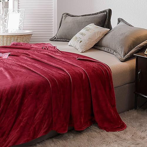 Hysache - Manta térmica eléctrica, 84 x 90 pulgadas, tamaño Queen con 10 niveles de calor, 8 horas de apagado automático, protección contra