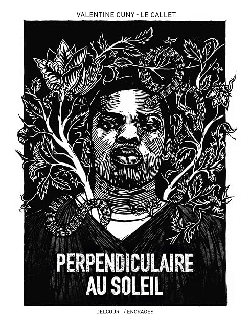 Portada de Perpendiculaire Au Soleil