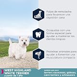 Ver la foto 4