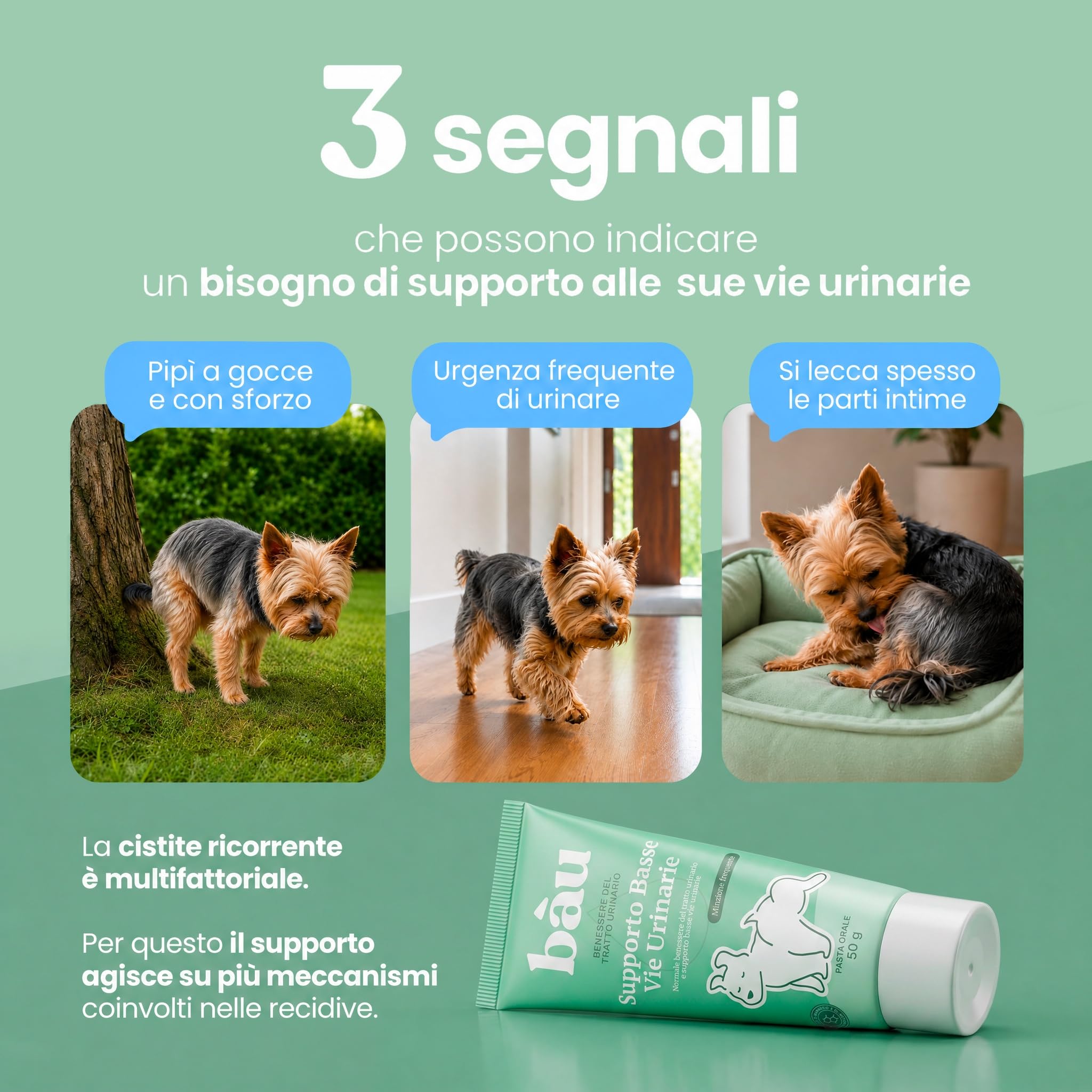 Bau Supporto Vie Urinarie per Cani in Pasta – Cistite Cane – Integratore per Vescica Cane con Pipì Frequente e Fastidio Urinario – Aiuto per Cistite Ricorrente e Minzione a Gocce