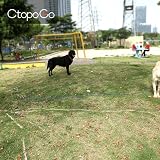 Ver la foto 8