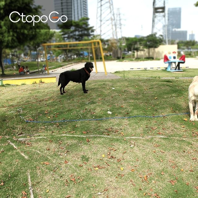 Foto 8 de 8 de CtopoGo Cable de Amarre para Perros de 10 pies/16 pies/33 pies,Cable de Amarre para Mascotas