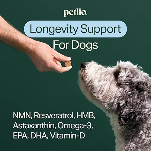 Miniatura 2 de Longevity+ Suplemento para la salud del perro, apoyo cognitivo, apoyo articular, apoyo inmunológico