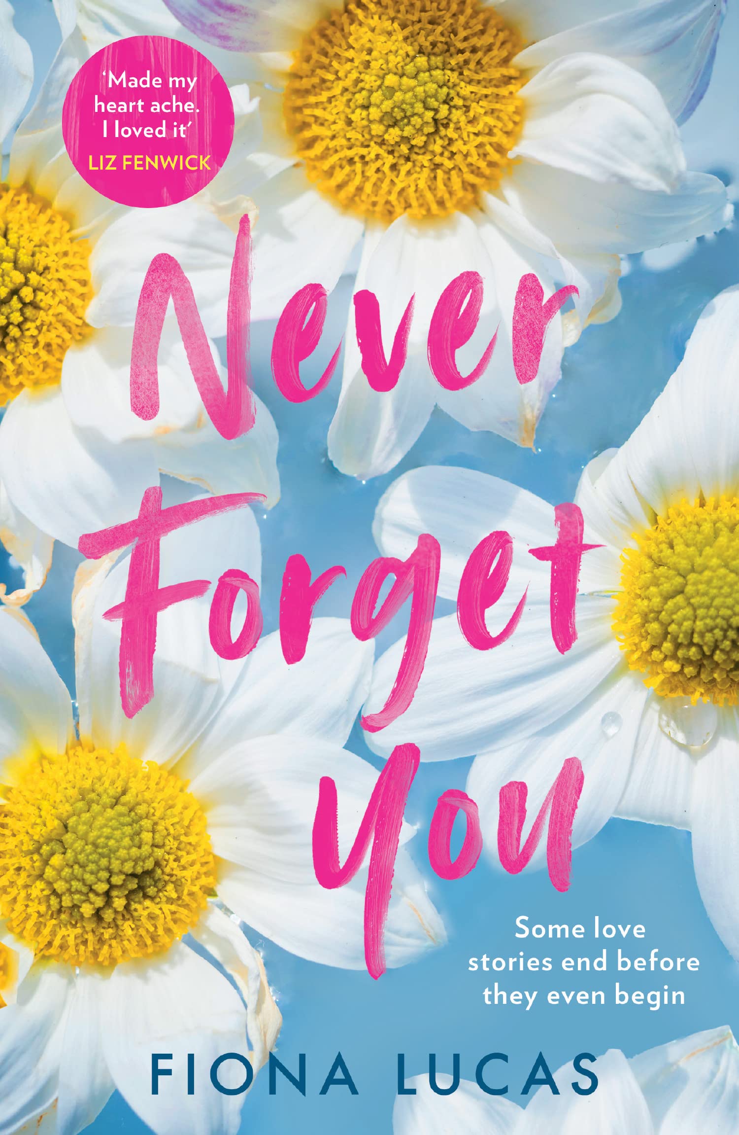 Never Forget You: The emotional and unforgettable love story for 2024, perfect for fans of Colleen Hoover and Lucy Score