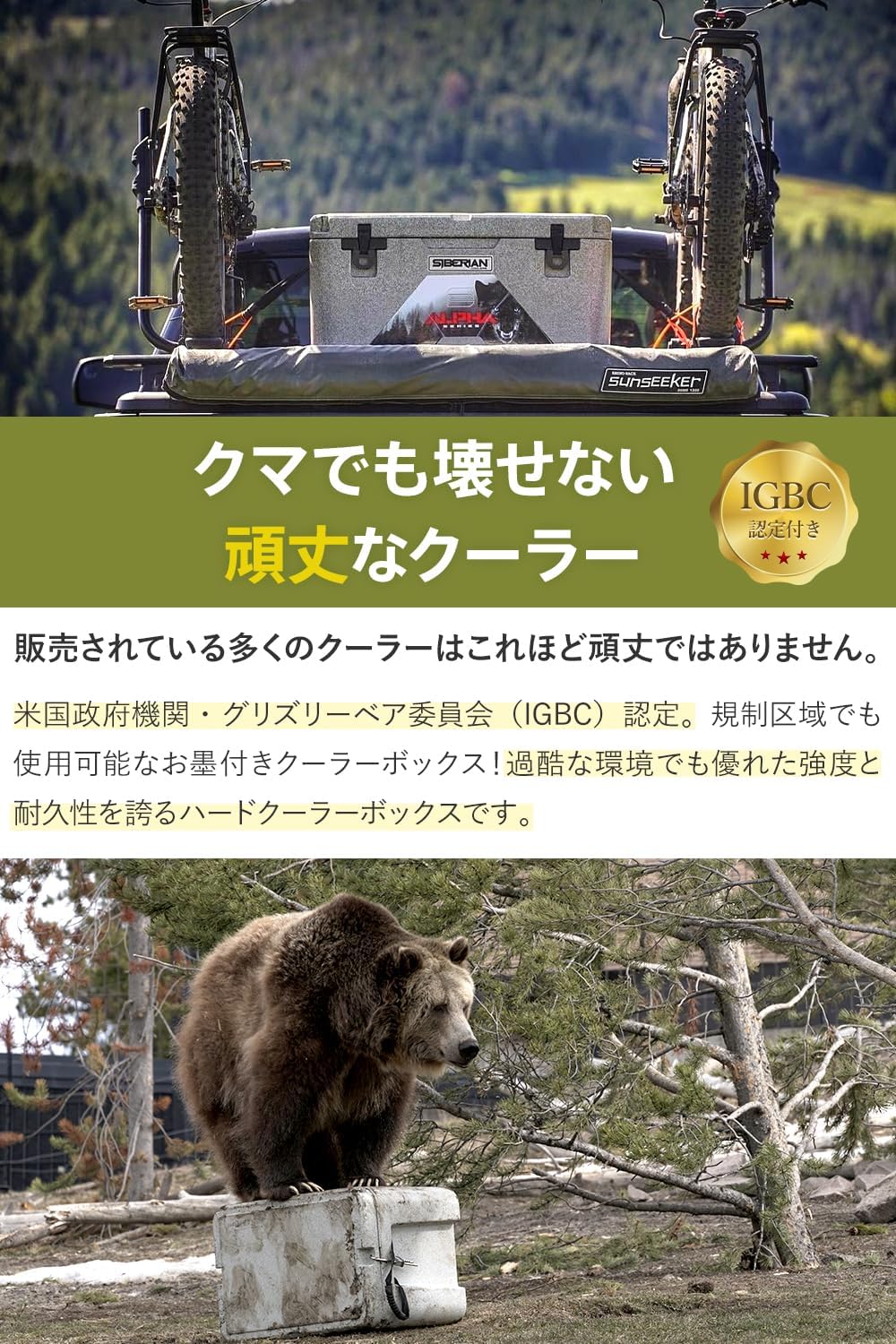 超長時間保冷【米国のハンターも愛用している】シベリアンクーラーボックス(SIBERIAN COOLERS) ハード 容量20.8L 42.5L 61.5L 大型 保冷力 アウトドア キャンプ 釣り 人気 おしゃれ BBQ レジャー 災害