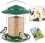 iBorn Metal Bird Feeder for Outside Hanging,Wild Bird Feeders for Cardinal,18cm Large Roof &Tray Brushed Copper 6 Port (Seed is not Included) | For Cardinal, Chew Proof, 18cm Large Roof & Tray, Hanging
