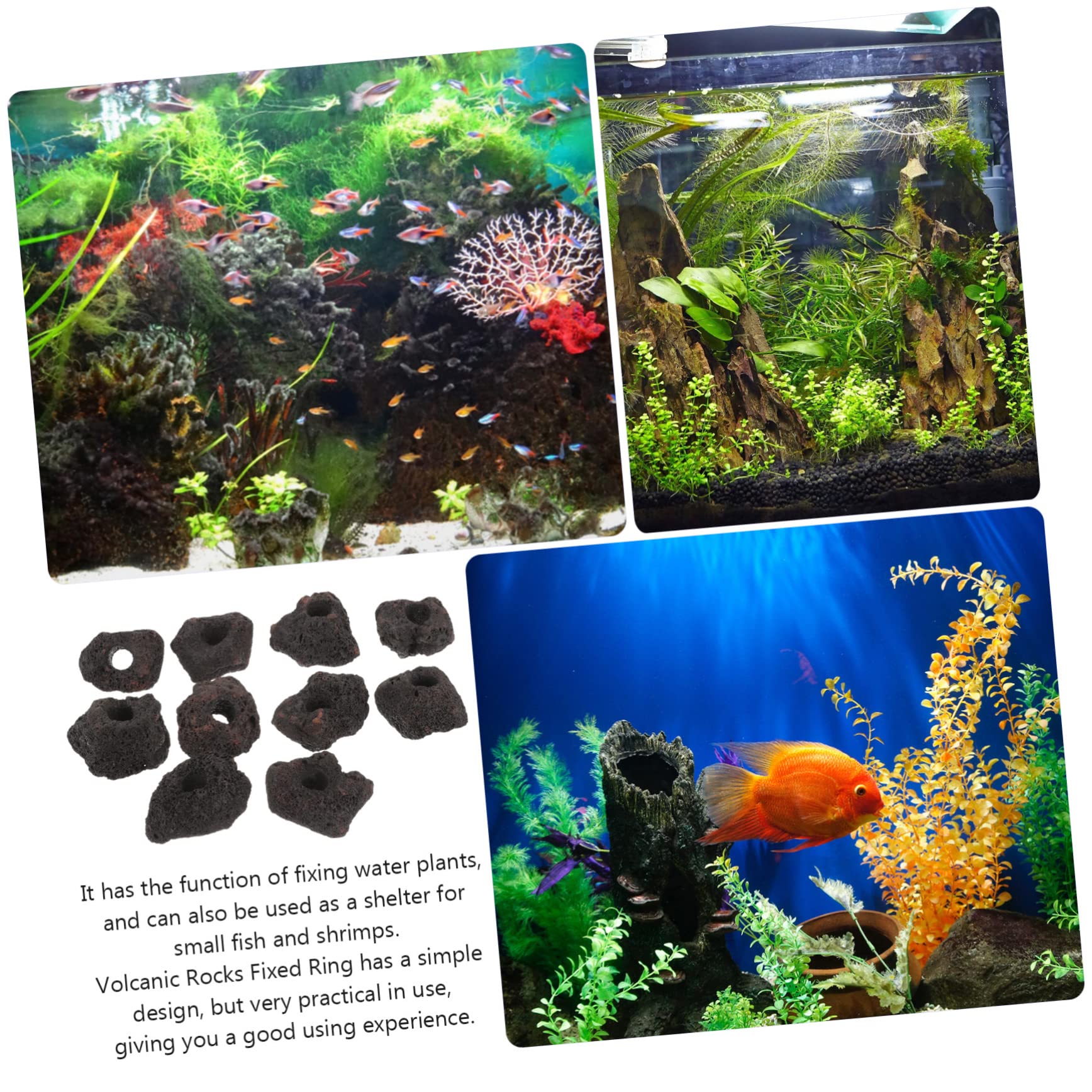 YARNOW 10 Anillos Fijación Volcanicas Acuario Pecera Soporte Plantas Decoración