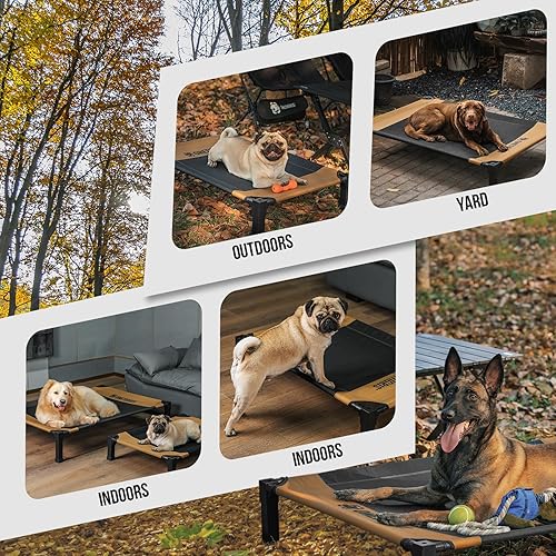 Miniatura 7 de ONETIGRIS Cama elevada para perros, cama elevada para perros medianos y grandes, para interiores y exteriores, camas elevadas para perros con malla