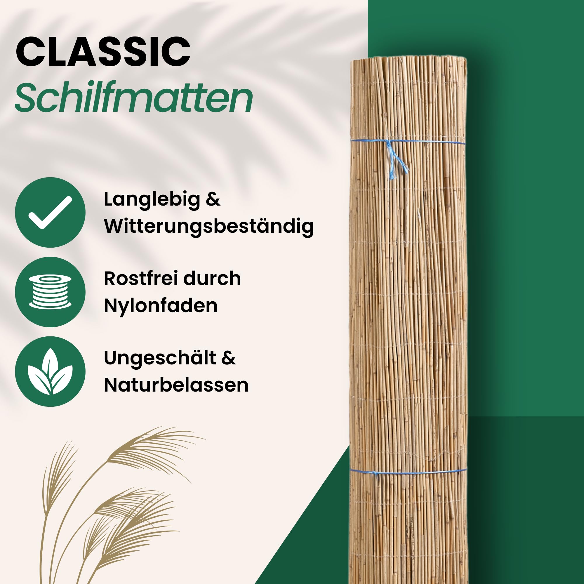 Schilf Sichtschutz | Schilfrohrmatte Classic | 120 x 600 cm | Natur Schilfmatte | Sichtschutzmatte & Windschutz für Balkon, Terrasse, Zaun & Garten | Für Indoor & Outdoor