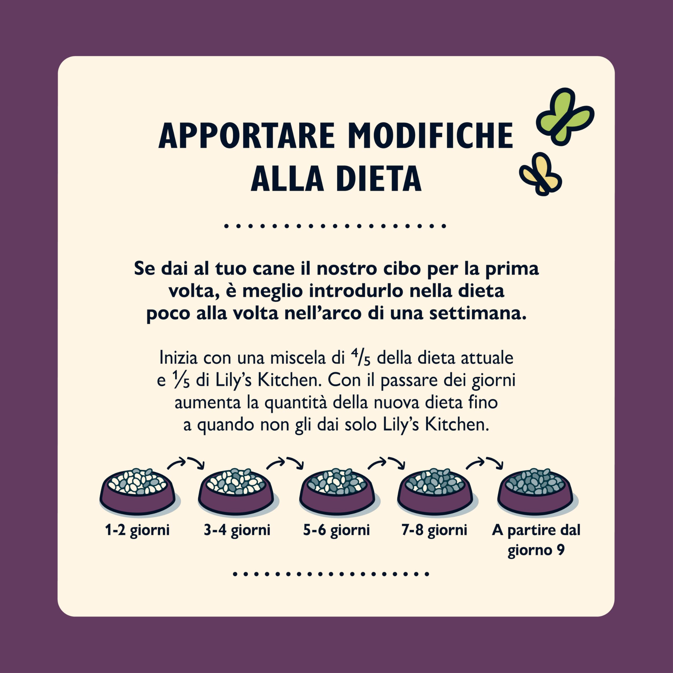 Lily's Kitchen Prodotto con ingredienti naturali Cibo umido per cani Ricetta per cani senior con tacchino 6 x 400 g
