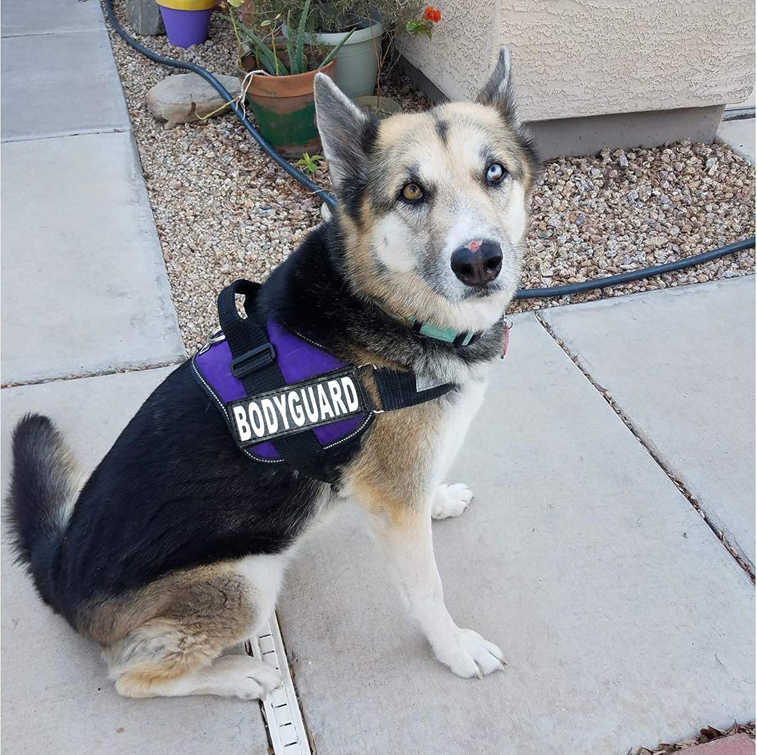 Doggie Stylz Body Guard Service Dog Vest Harness with Removable Patches. Purchase Comes with 2 Body Guard Reflective Removable Patches. Please Measure Your Dog Before Ordering.