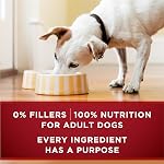 Purina ONE Classic Ground True Instinct Wet Dog Food, Beef & Salmon - 368 g Can (12 Pack)