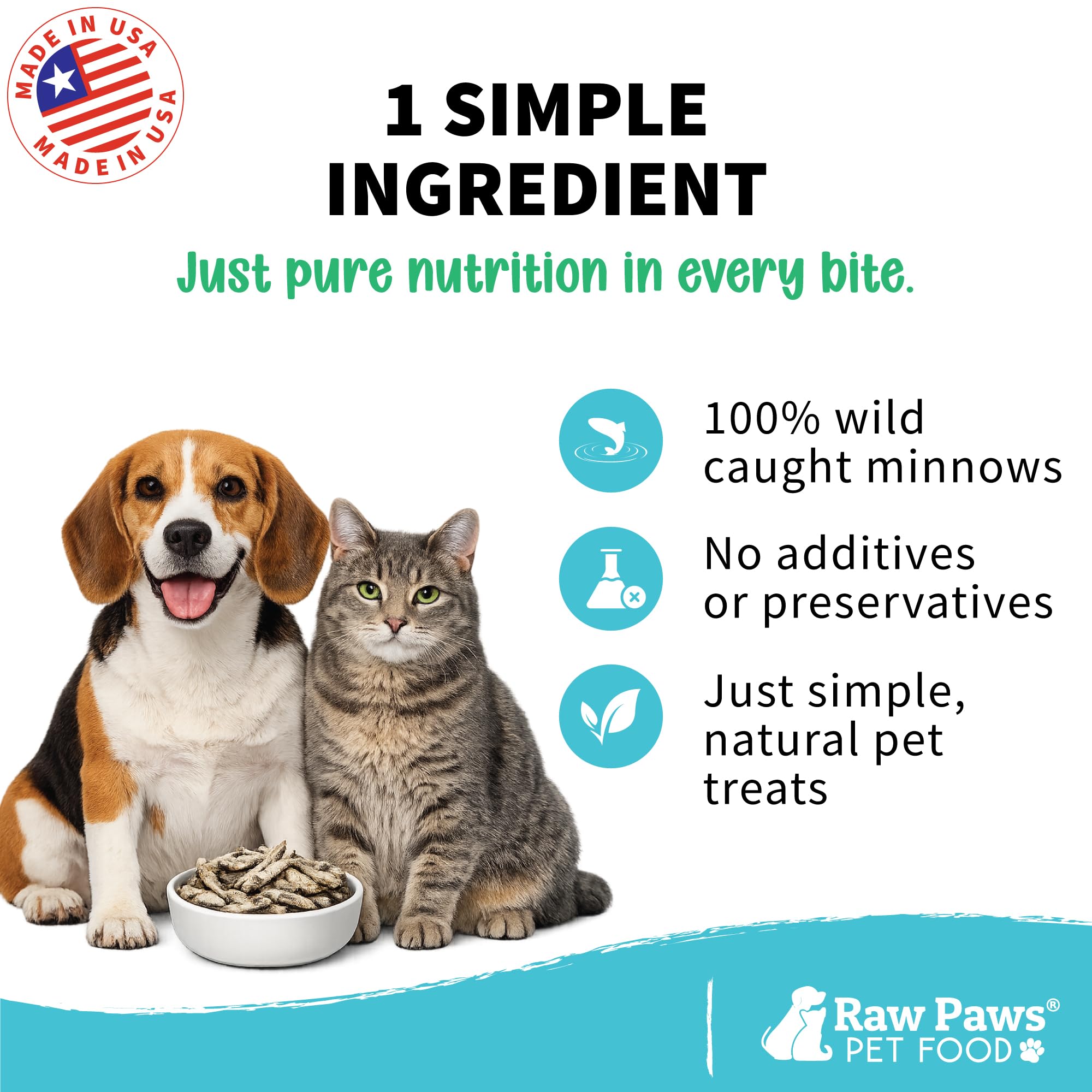 Raw Paws Pet Freeze Minnows secos para perros y gatos – Estados Unidos Fish Dog Treats – todos natural, único ingrediente Minnow Cat Treats – Raw Freeze Dried Dog Snacks – Grain Free Cat Reward,