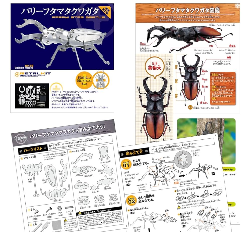 Amazon.co.jp: パリーフタマタクワガタ 増補改訂版 (メタル
