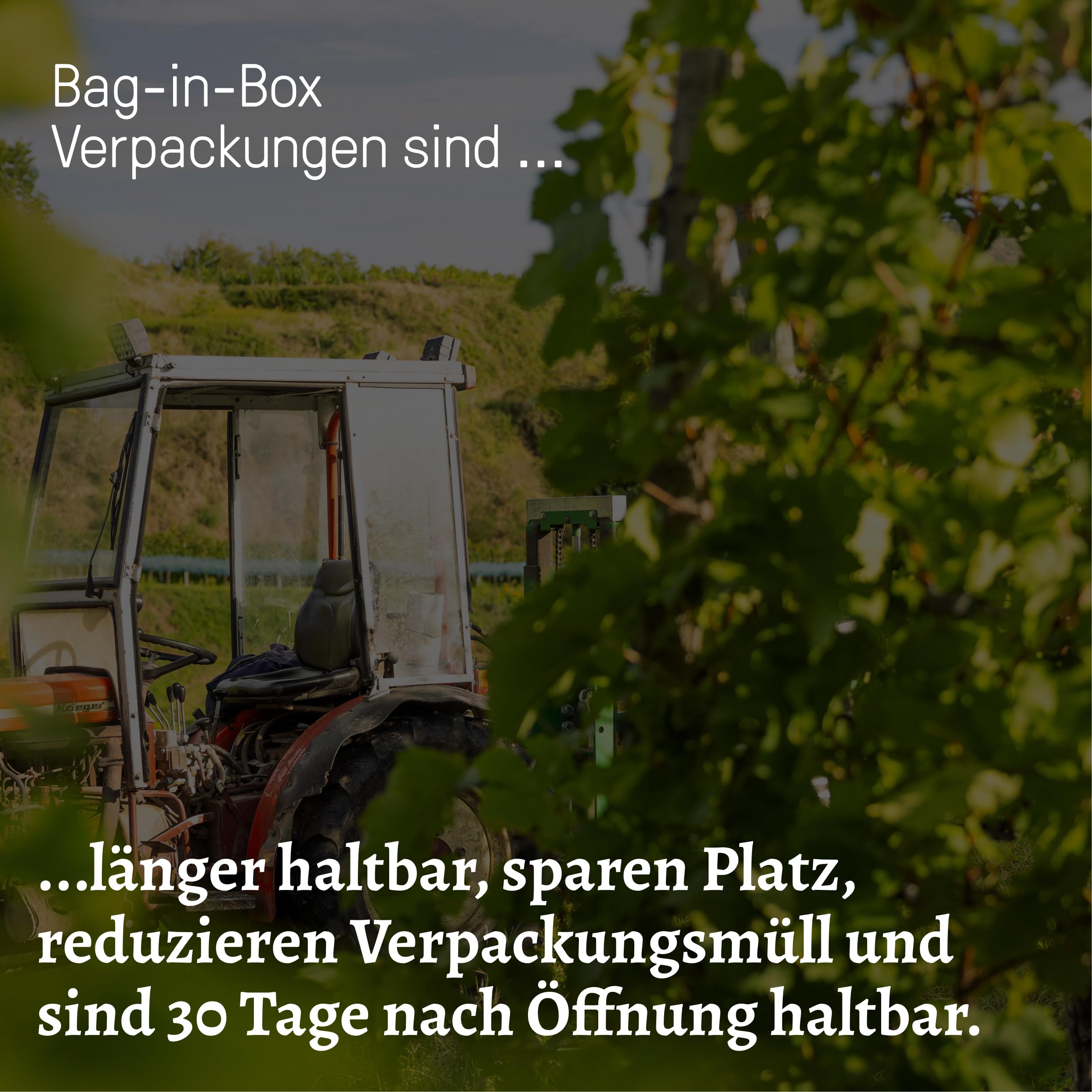 Oberrotweiler Rosésüchtig Wein-Paket - Roséwein & Rosé Sekt vom Kaiserstuhl - Probierpaket, als Geschenk für Wein Liebhaber & besondere Anlässe (6 x 0,75 l)