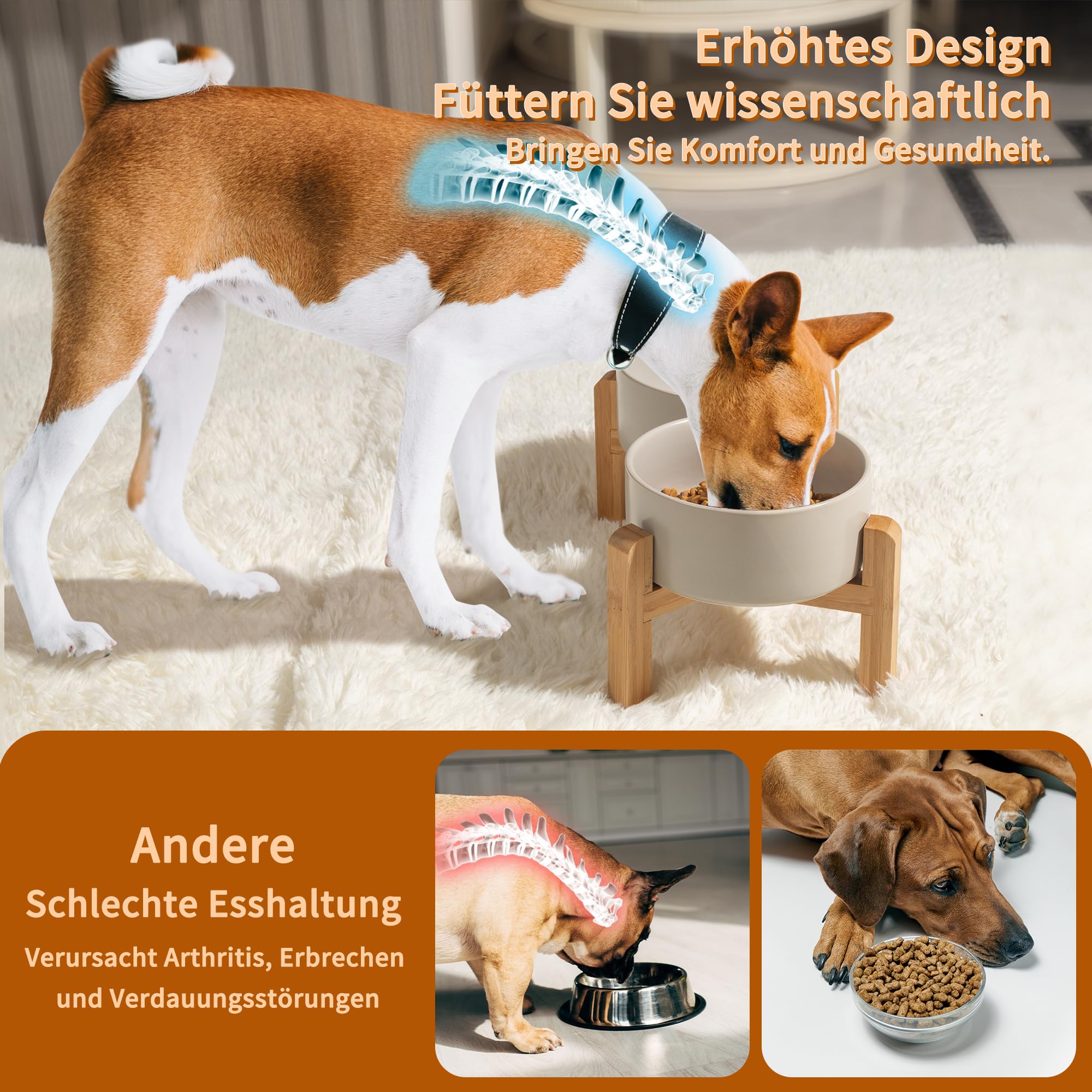 Erhöhtes Hundenapf-Set Aus Keramik – 10,9 Cm Hoch, Rutschfester Ständer, 2 Näpfe, Für Kleine/mittelgroße Hunde & Katzen