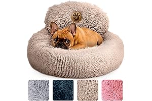 poochplanet dog bed