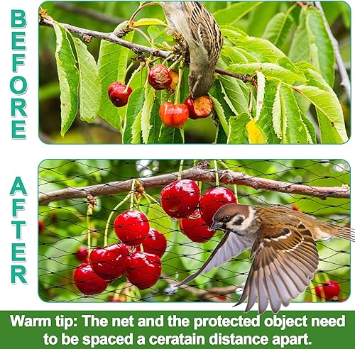 Miniatura 2 de Red para pájaros para protección del jardín, red de jardín de 13 x 32 pies con malla de 0.8 pulgadas, red de aves de corral para gallinero, malla de